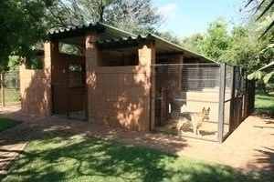Holding kennels