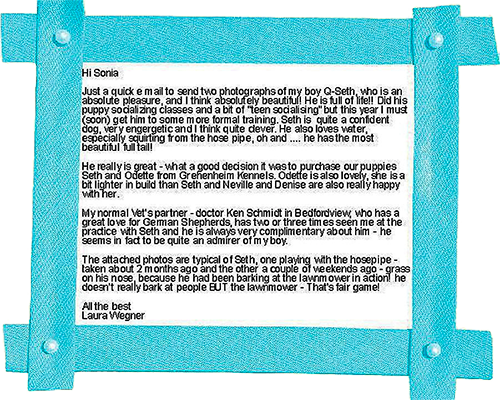 Seth testimonial
