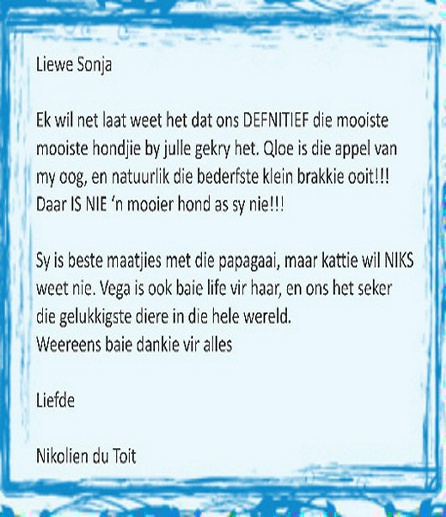 Nicolien testimonia