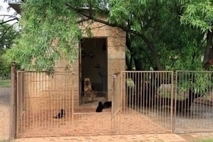 Outside of whelping room No 1