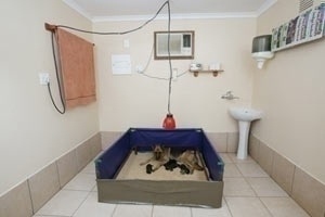 Inside whelping room No 1