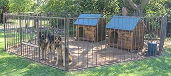 Adult kennel