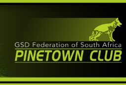 GSDF Pinetown club logo and link