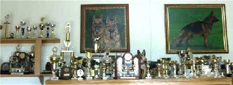 Some trophies